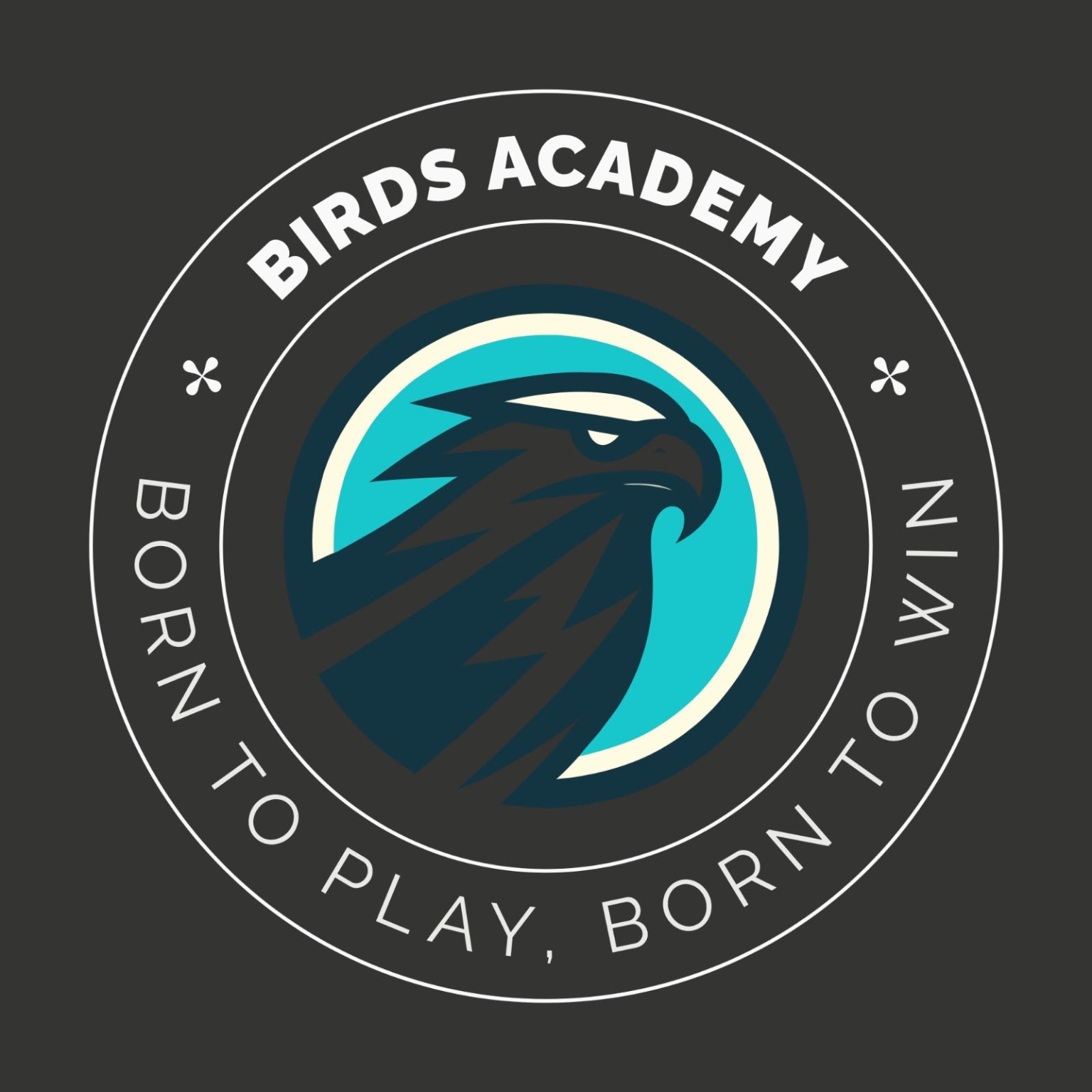 Birds Academy logo